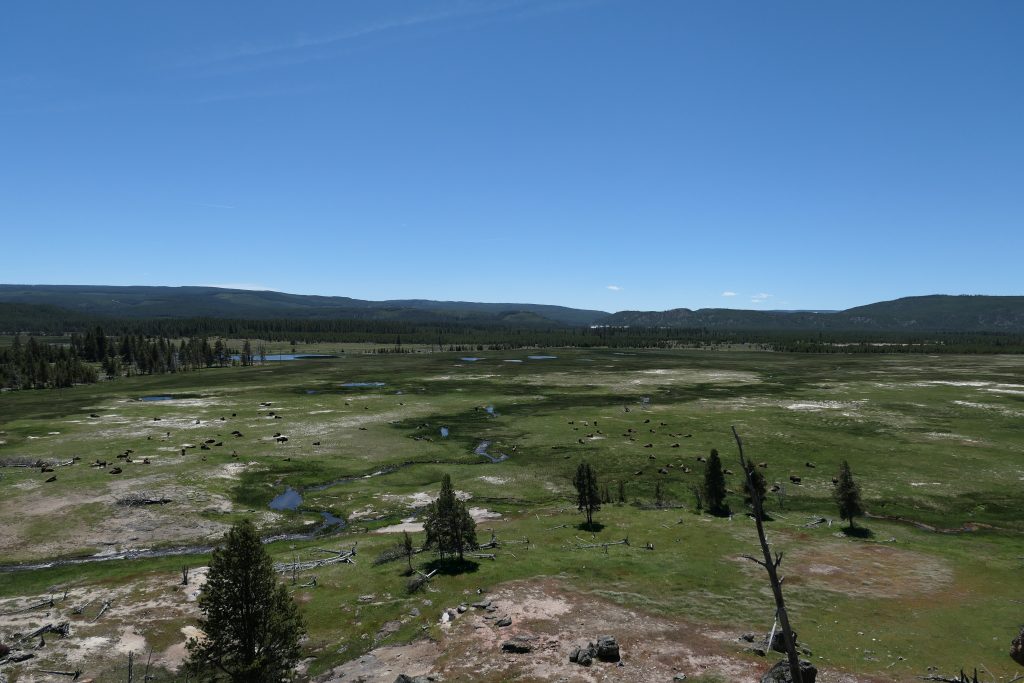 View from Boulder Spring
