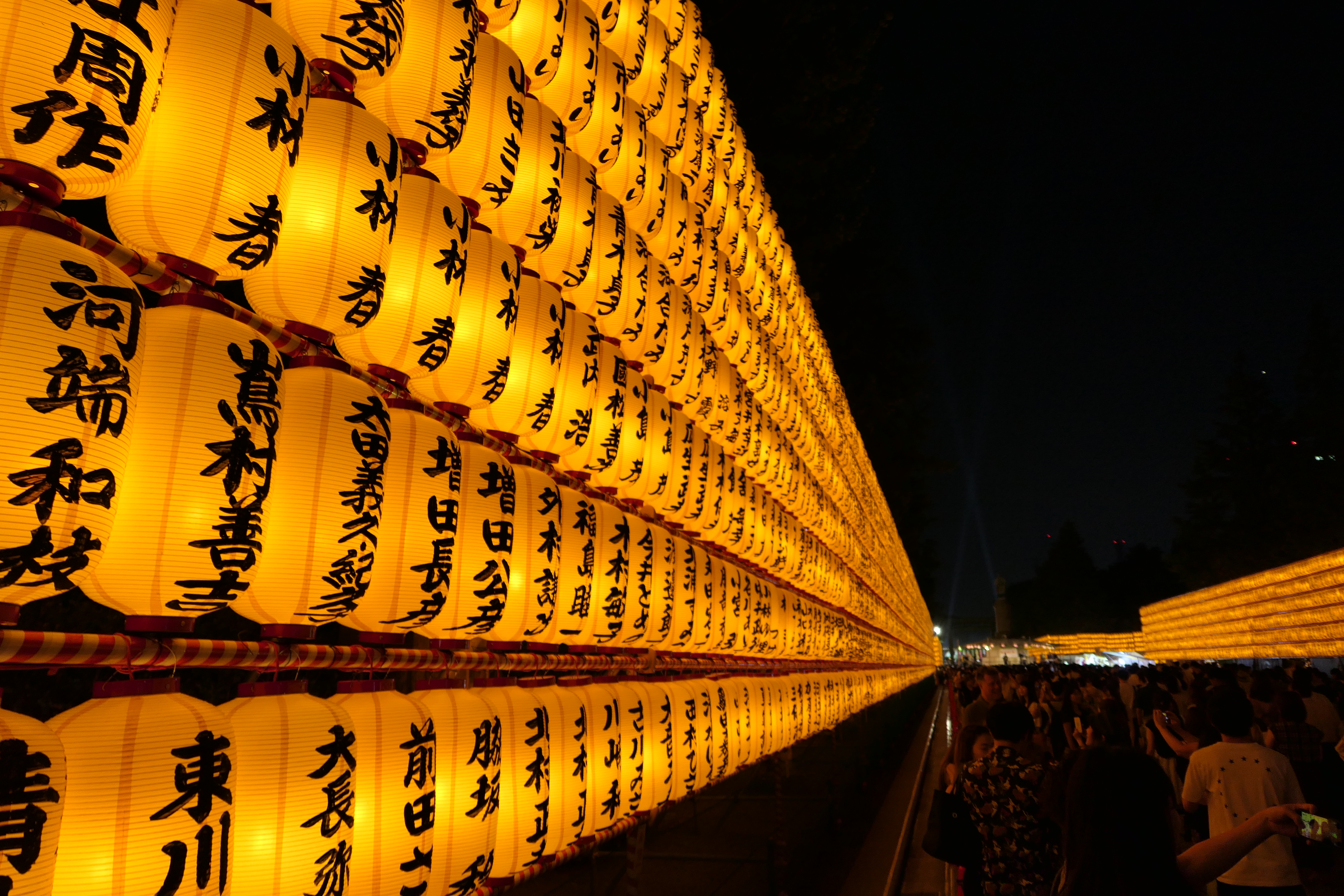 Summer in Japan - Mitama Matsuri